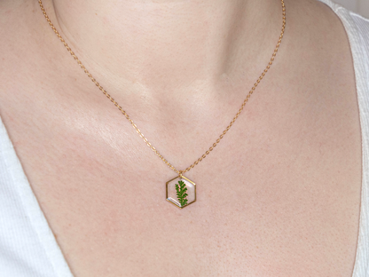 Axiom in Green - Hexagon Fern Necklace - Silver – Silver-plated brass chain, bezel and findings… – Atelier Modernista