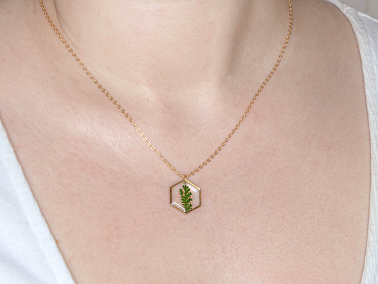 Axiom in Green - Hexagon Fern Necklace - Silver – Silver-plated brass chain, bezel and findings… – Atelier Modernista