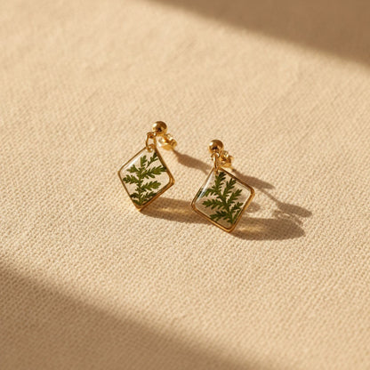 Axiom in Green - Tiny Fern Earrings - Gold – 24k gold plated brass, 24K gold-plated stainless steel… – Atelier Modernista
